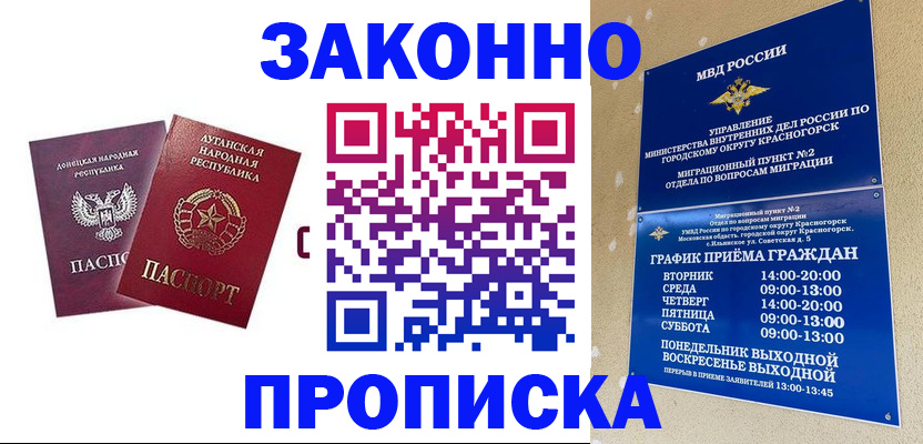 прописка в Козельске